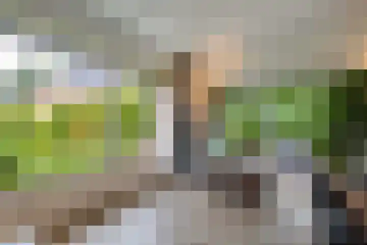 de Singel 6 Ens thumbnail 22