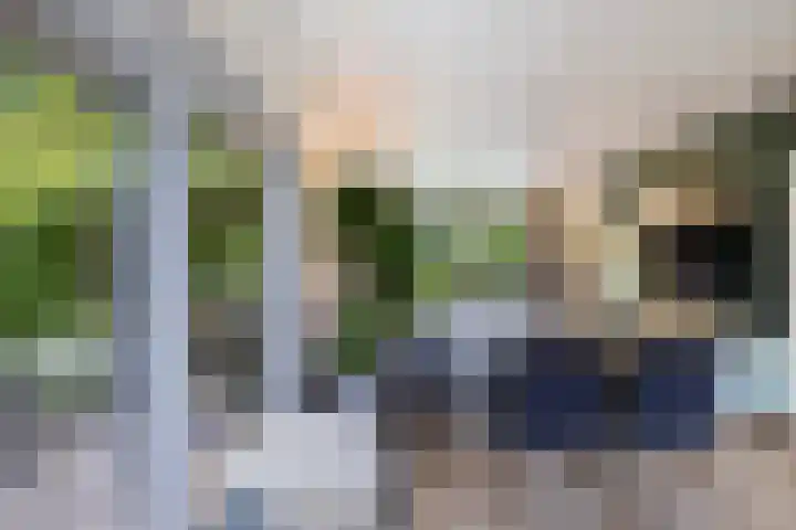 de Singel 6 Ens thumbnail 24