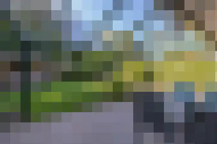 de Singel 6 Ens thumbnail 34
