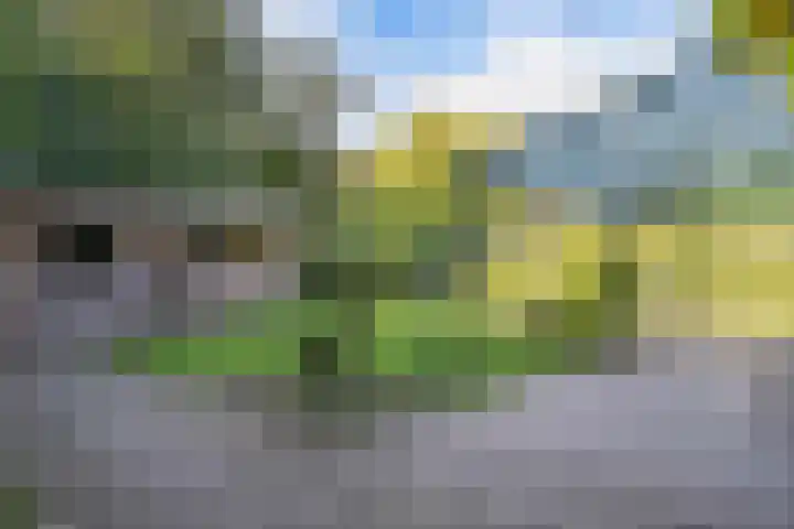de Singel 6 Ens thumbnail 35