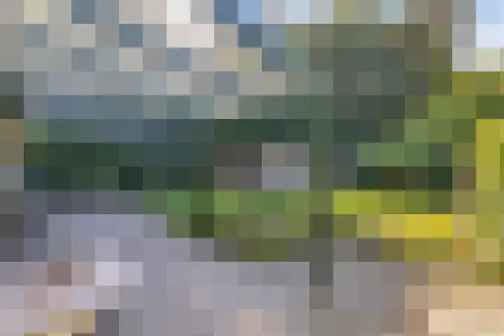 de Singel 6 Ens thumbnail 36