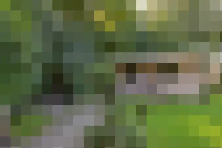 de Singel 6 Ens thumbnail 37