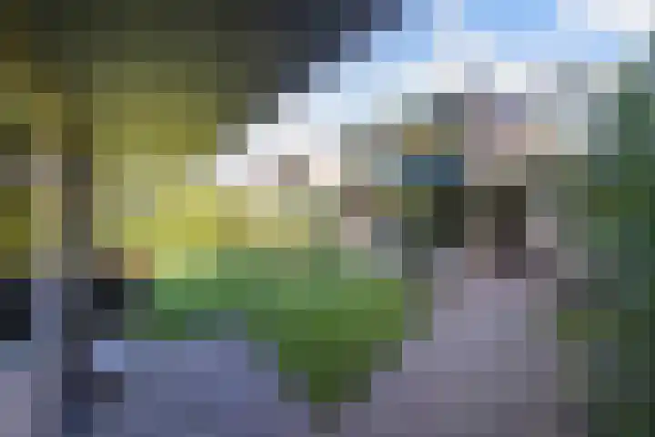 de Singel 6 Ens thumbnail 38