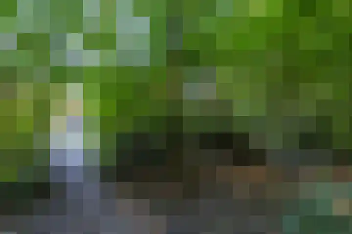 de Singel 6 Ens thumbnail 39