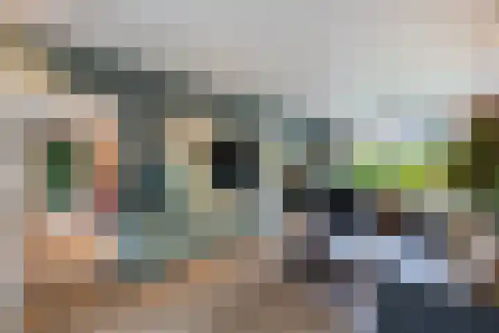 de Singel 6 Ens thumbnail 4