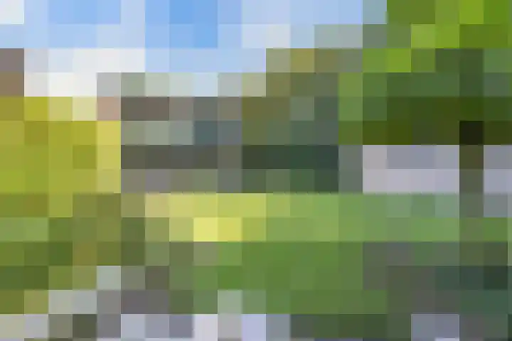 de Singel 6 Ens thumbnail 41