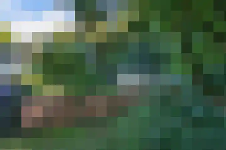 de Singel 6 Ens thumbnail 46