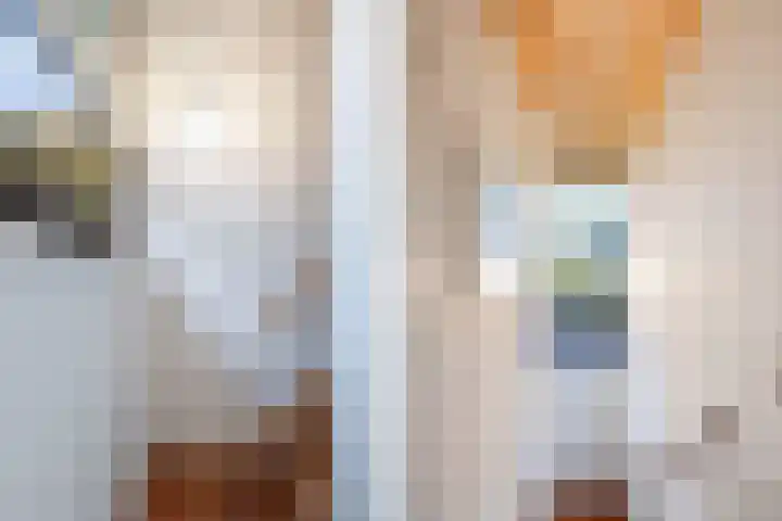 de Singel 6 Ens thumbnail 48