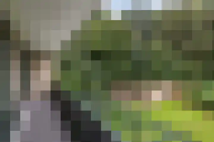 de Singel 6 Ens thumbnail 53