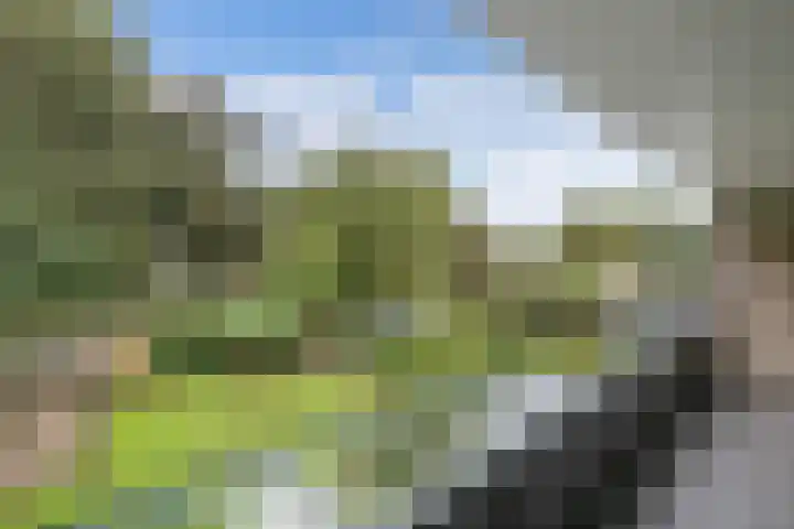 de Singel 6 Ens thumbnail 54