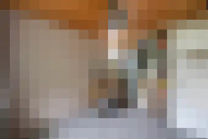 de Singel 6 Ens thumbnail 56