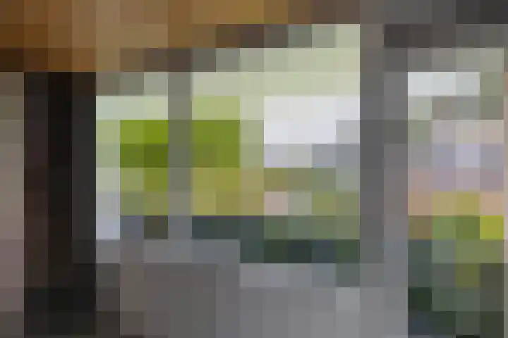 de Singel 6 Ens thumbnail 58