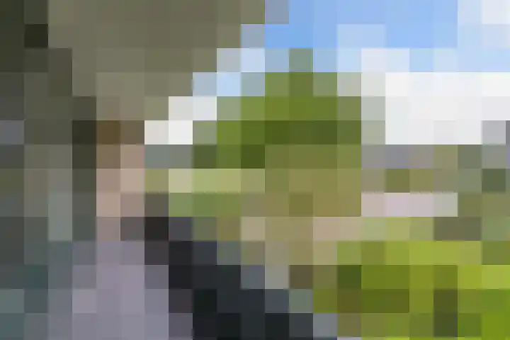 de Singel 6 Ens thumbnail 59