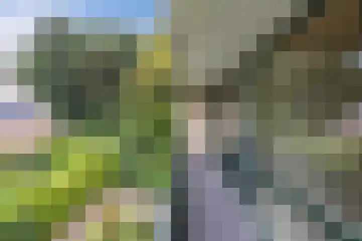 de Singel 6 Ens thumbnail 60