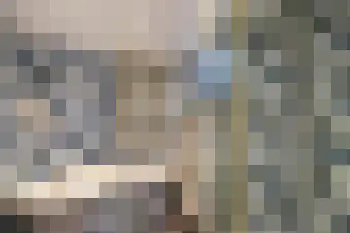 de Singel 6 Ens thumbnail 61
