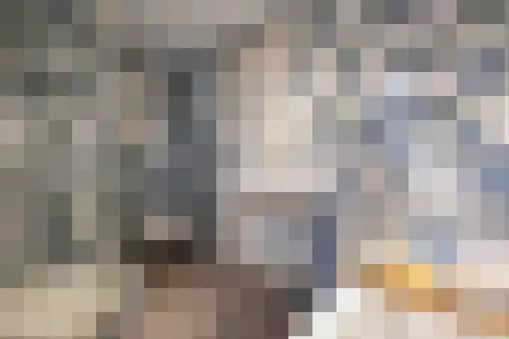 de Singel 6 Ens thumbnail 62