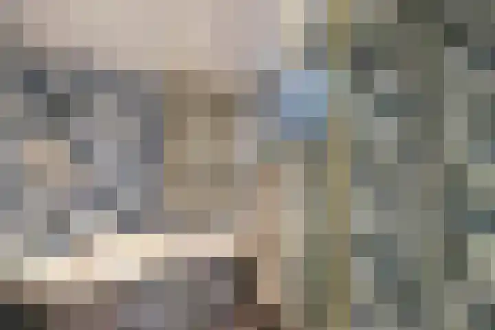 de Singel 6 Ens thumbnail 7