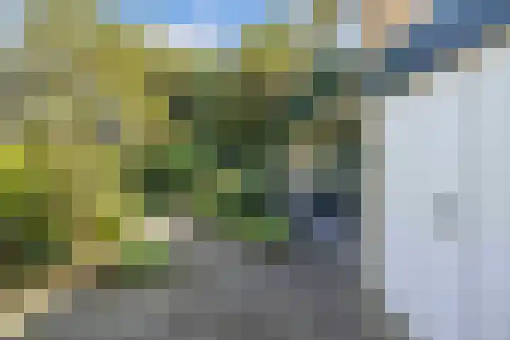 de Singel 6 Ens thumbnail 9