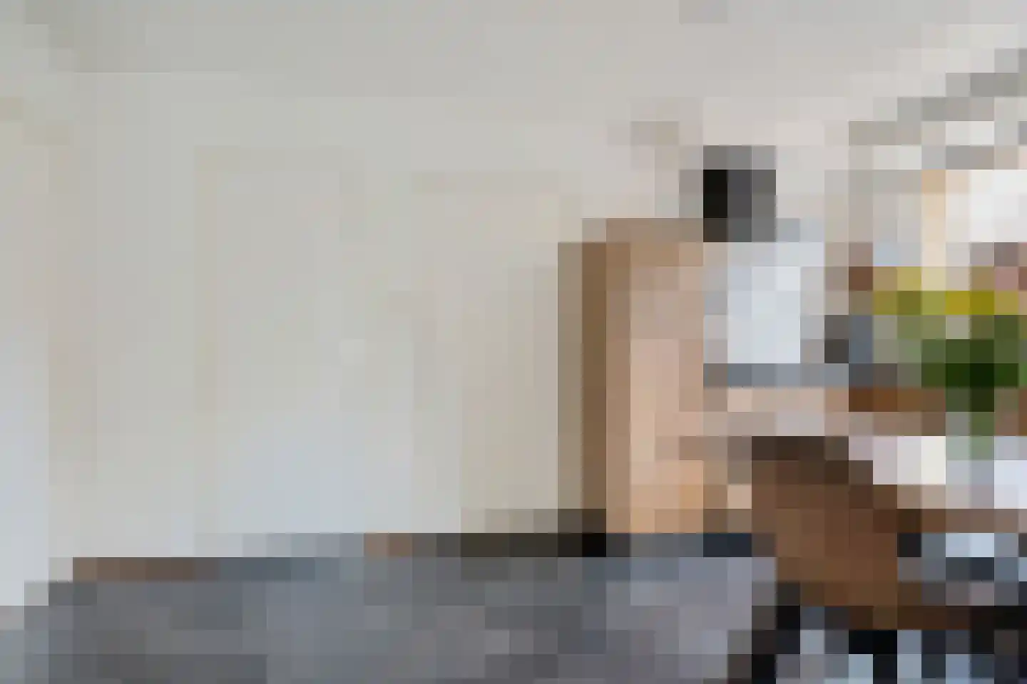 De Singel 8 Eanjum thumbnail 10