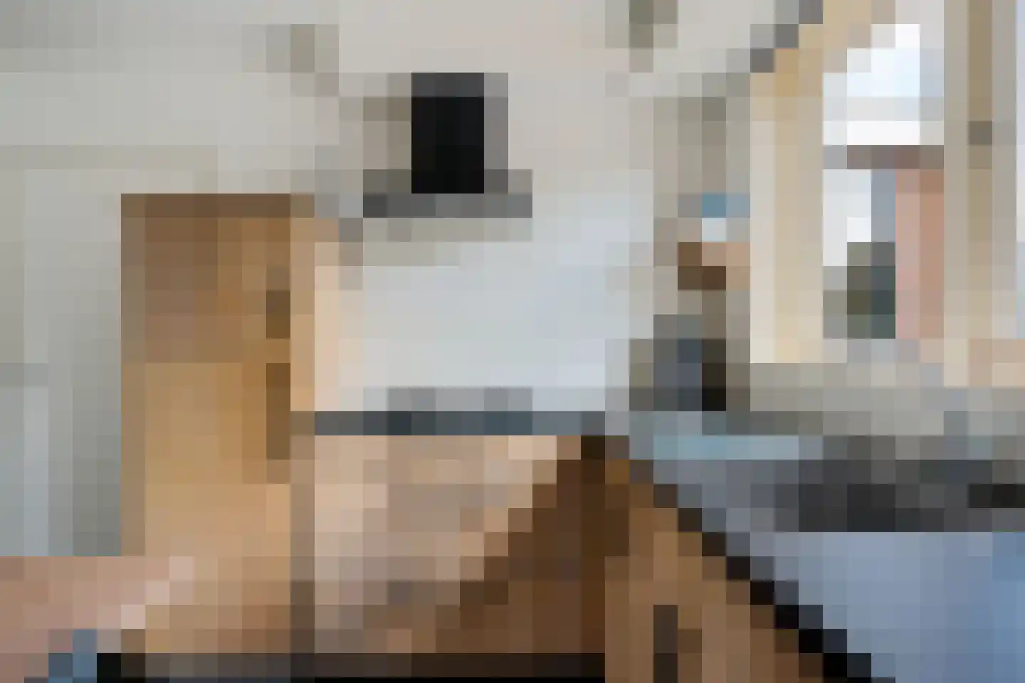 De Singel 8 Eanjum thumbnail 11