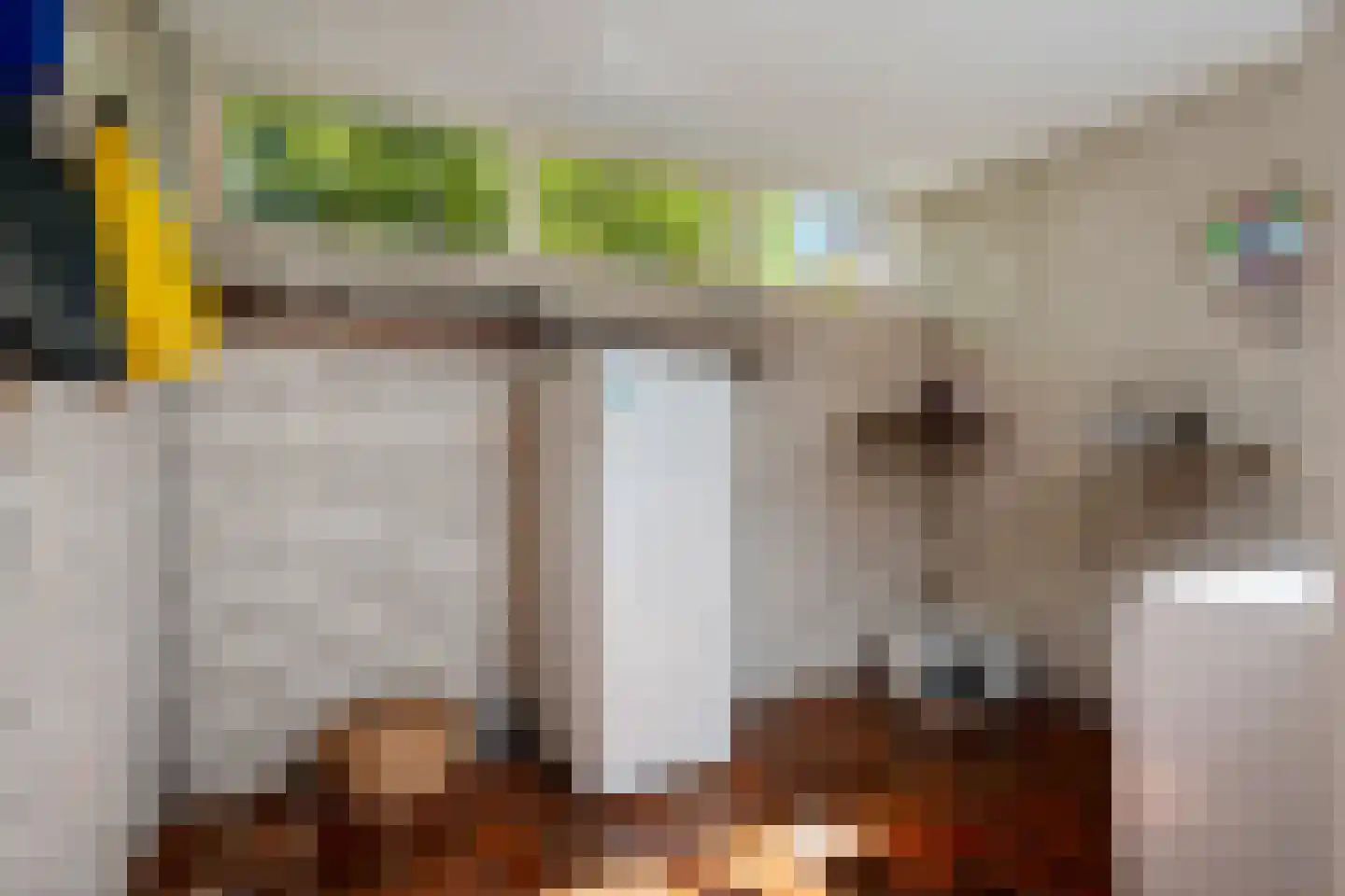 De Singel 8 Eanjum thumbnail 17