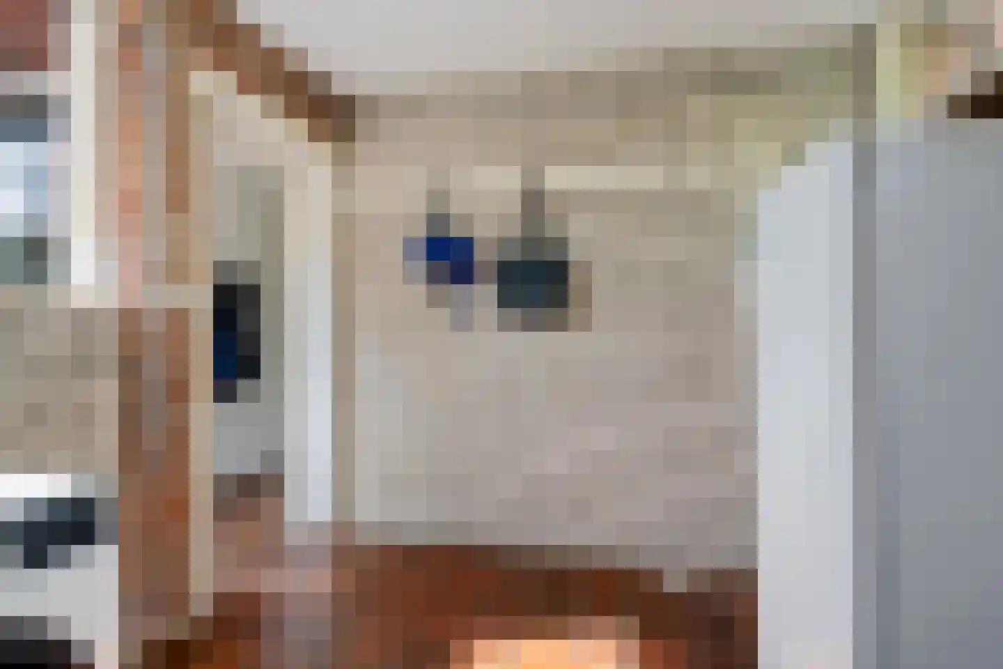 De Singel 8 Eanjum thumbnail 18