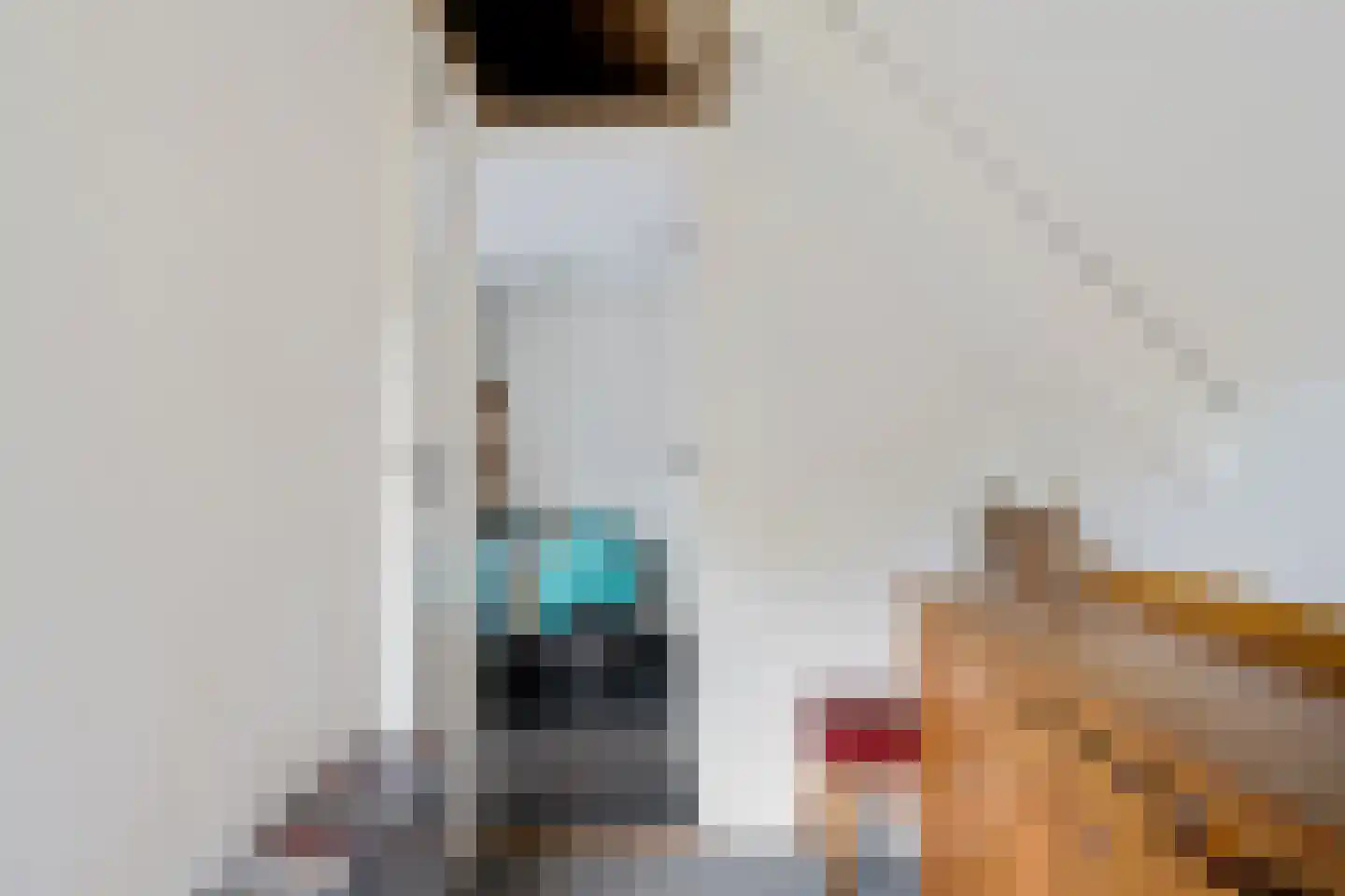 De Singel 8 Eanjum thumbnail 21
