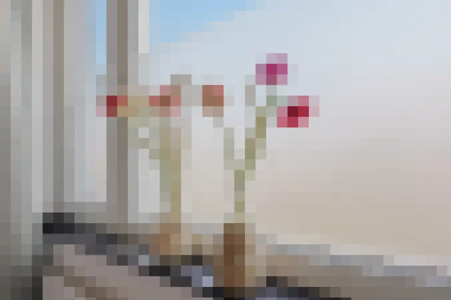 De Sint Pieter 36 Zaandam thumbnail 23