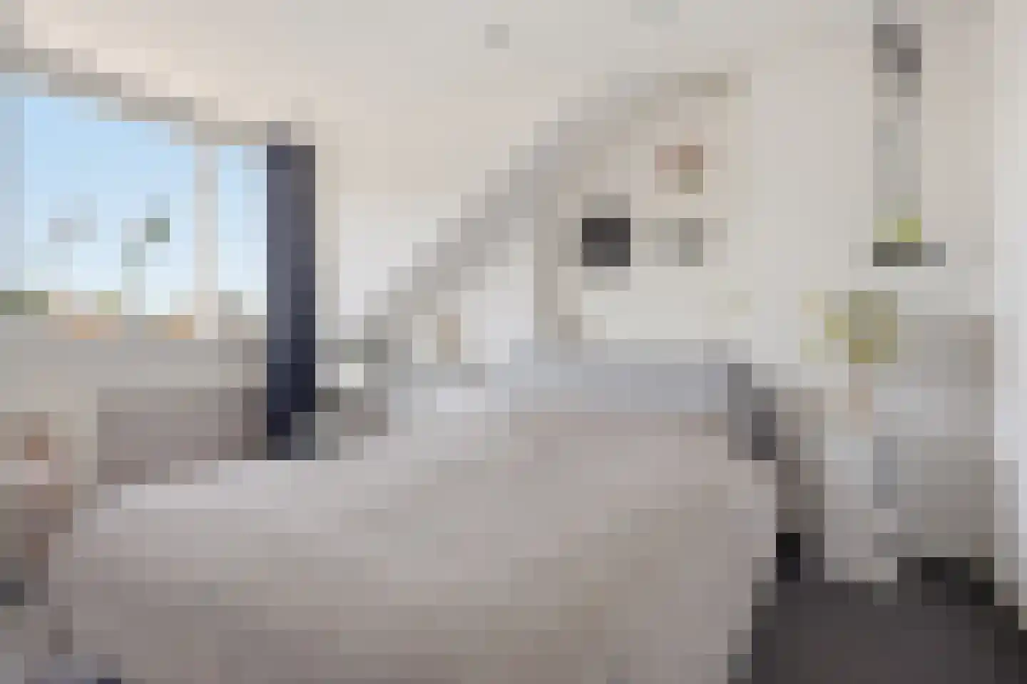 De Sint Pieter 36 Zaandam thumbnail 35