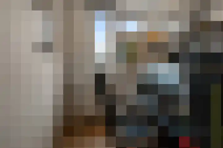 De Sint Pieter 54 Zaandam thumbnail 17