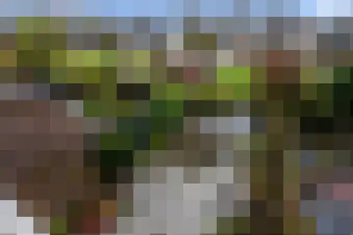 De Sint Pieter 54 Zaandam thumbnail 27