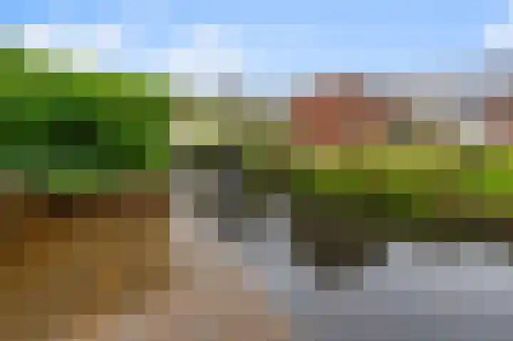 De Sint Pieter 54 Zaandam thumbnail 31