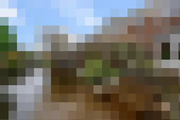 De Sint Pieter 54 Zaandam thumbnail 32