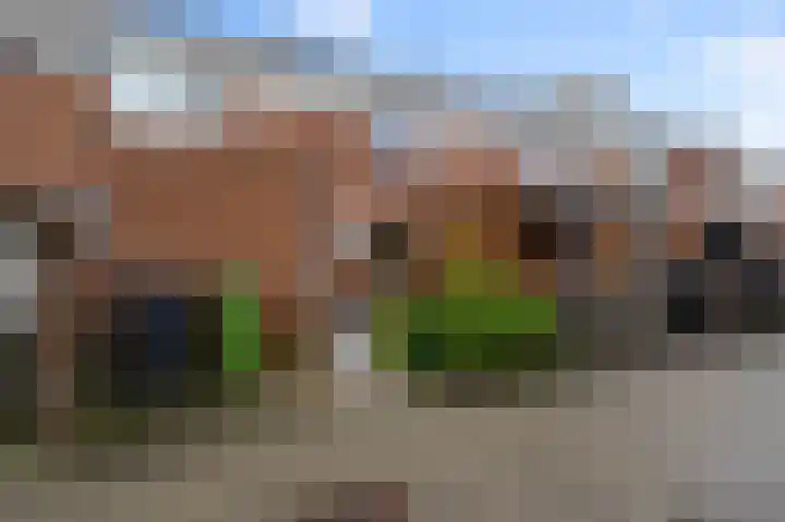 De Sint Pieter 54 Zaandam thumbnail 33