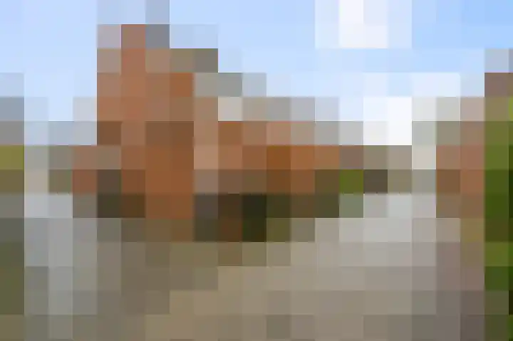 De Sint Pieter 54 Zaandam thumbnail 34
