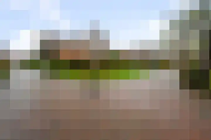 De Sint Pieter 54 Zaandam thumbnail 36