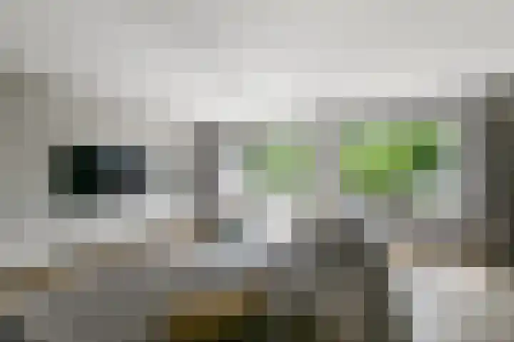 De Sint Pieter 76 Zaandam thumbnail 13