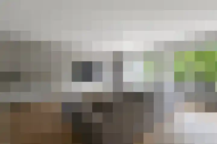 De Sint Pieter 76 Zaandam thumbnail 15