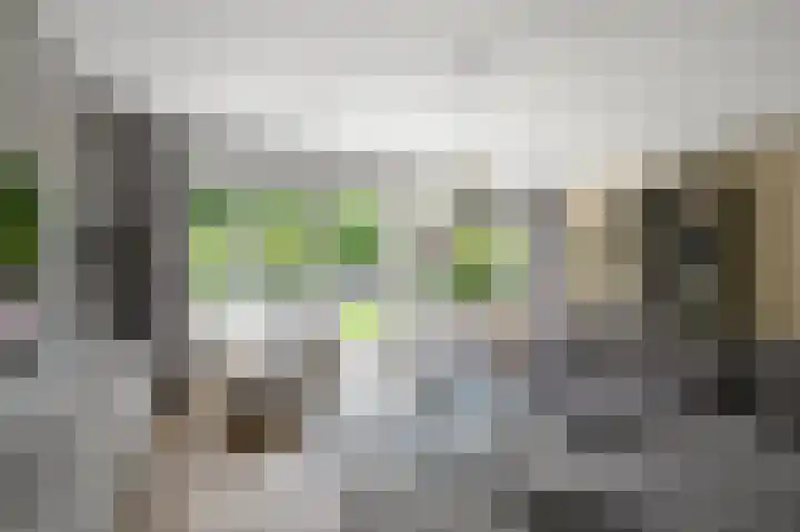 De Sint Pieter 76 Zaandam thumbnail 16