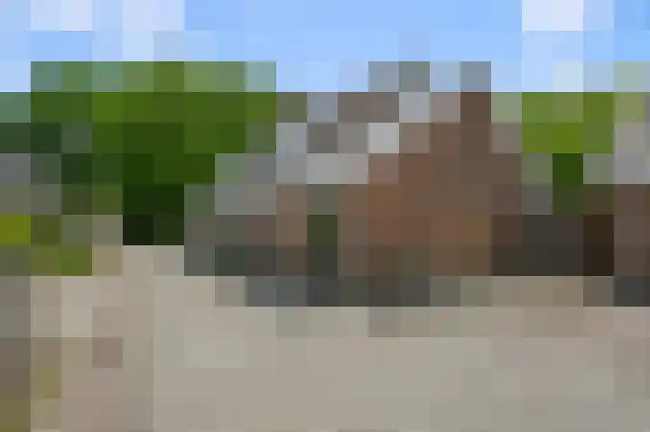 De Sint Pieter 76 Zaandam thumbnail 4
