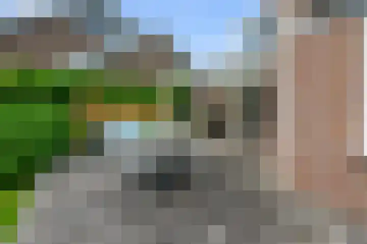 De Sint Pieter 76 Zaandam thumbnail 43