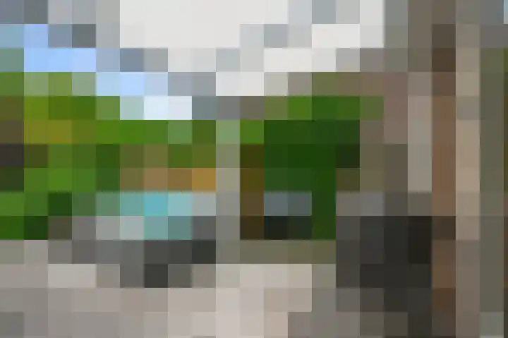 De Sint Pieter 76 Zaandam thumbnail 44