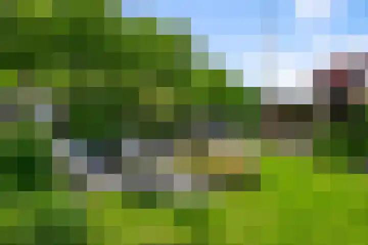 De Sint Pieter 76 Zaandam thumbnail 47