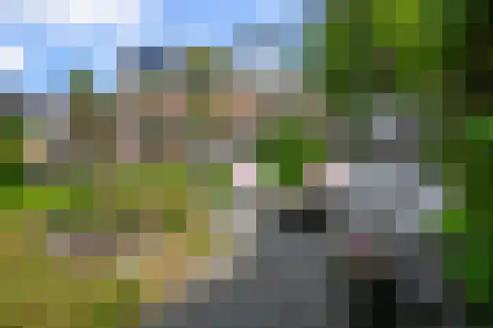 De Sint Pieter 76 Zaandam thumbnail 49