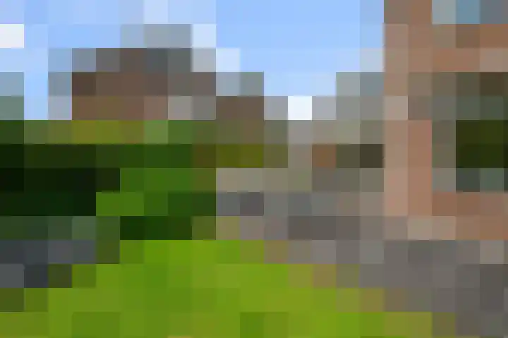 De Sint Pieter 76 Zaandam thumbnail 50