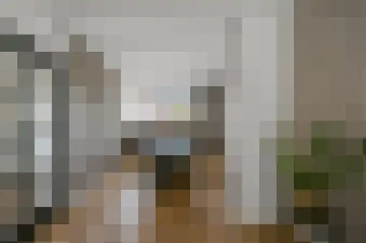 De Sint Pieter 76 Zaandam thumbnail 9