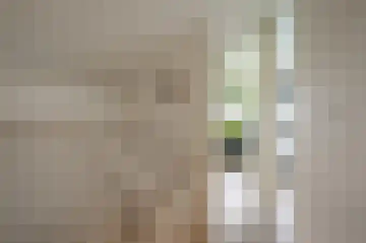 De Sint Willebrordus 7 Zaandam thumbnail 21