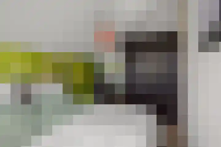 De Sint Willebrordus 7 Zaandam thumbnail 23