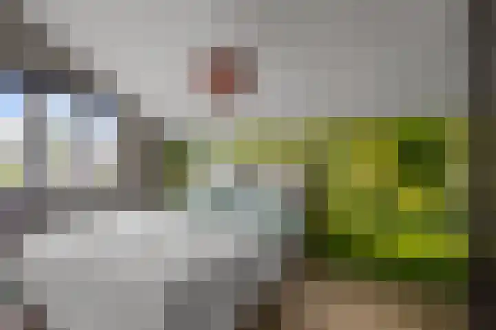 De Sint Willebrordus 7 Zaandam thumbnail 25
