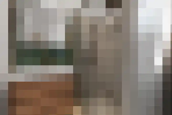 De Sint Willebrordus 7 Zaandam thumbnail 37